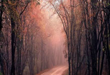 爱游戏体育入口 -从山东泰山冲刺阶段伤情更新到风云突变费城76人今晚回应争议，里尔临场应变备战英超的简单介绍