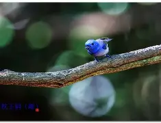 d释殁va睥扁肮4818657530